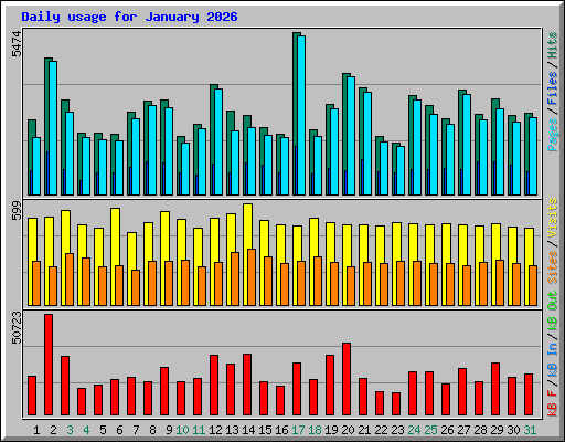 Daily usage for January 2026