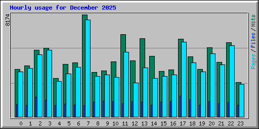 Hourly usage for December 2025