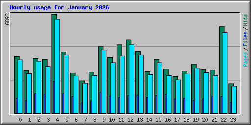 Hourly usage for January 2026