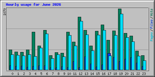 Hourly usage for June 2026